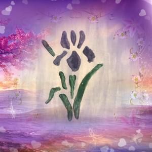 Meet your Posher, Penny